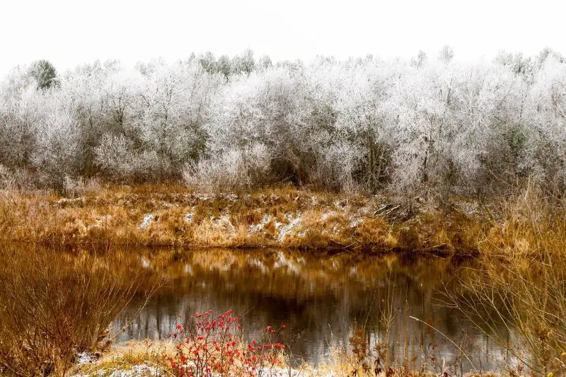 Polarni vrtlog stiže u Srbiju između 19. i 24. oktobra - Miholjsko leto se završava, stižu mrazevi i ciklon sa Atlantika