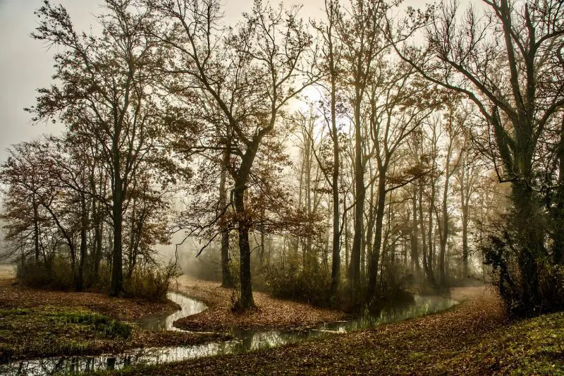 Vremenska prognoza za Srbiju 29. septembar: pad temperature, kiša i prvi sneg na planinama početkom oktobra