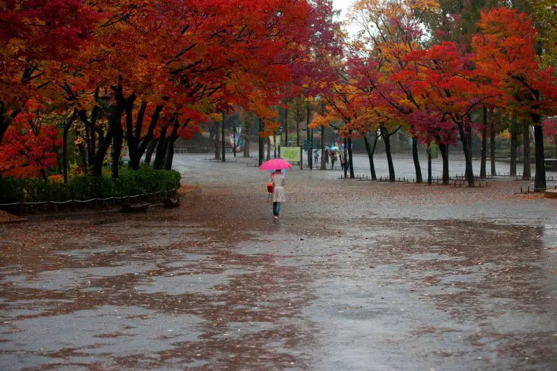 Vremenska prognoza za Kragujevac: promenljivo oblačno, kraj sedmice donosi kišu i pad temperature