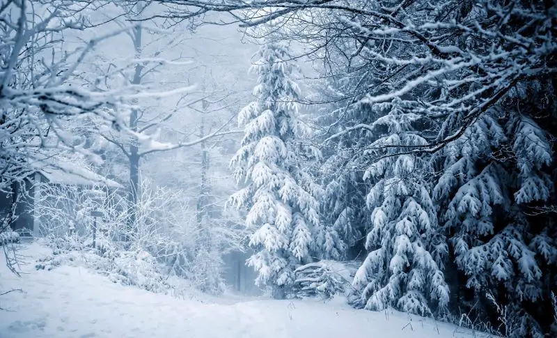 Sneg i kiša paralisali Srbiju - crveni meteoalarm na snazi