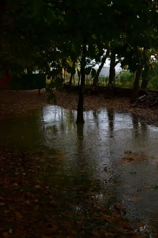 RHMZ upozorava na obilne padavine, zahlađenje i sneg na planinama u Srbiji