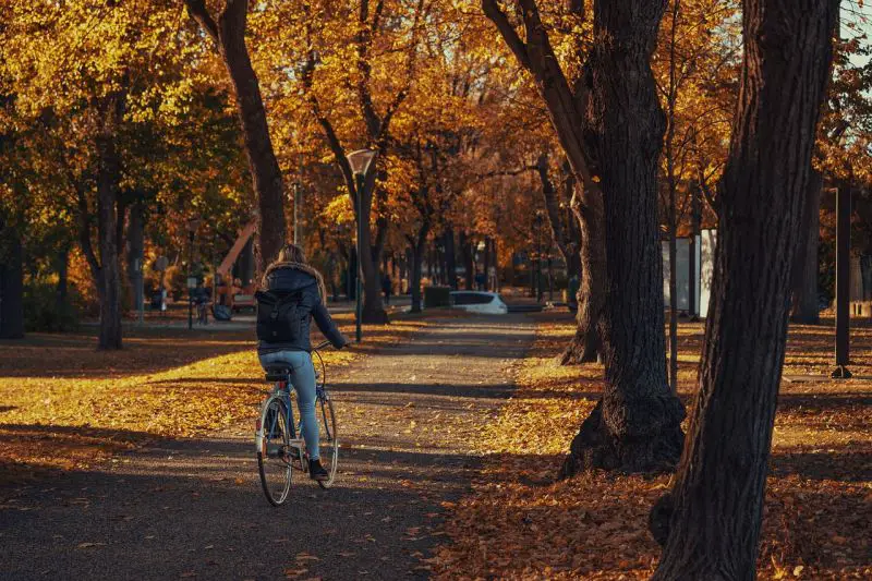 Prognoza vremena za Srbiju: toplije do 20°C, a zatim naglo zahlađenje i sneg od 16. novembra
