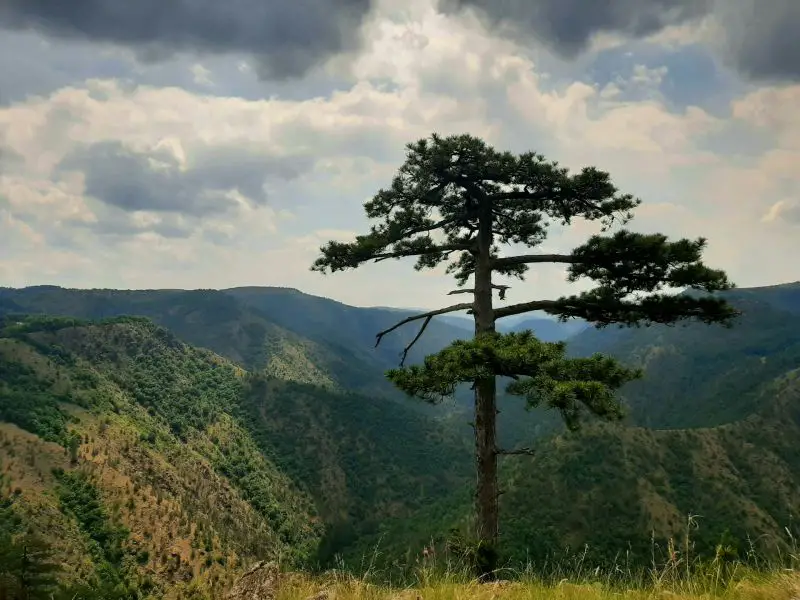 Vreme u Srbiji: danas do 31 stepen, žuti meteoalarm za pljuskove i grmljavinu