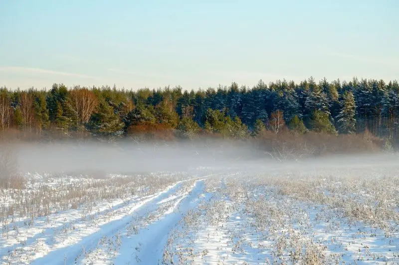 Meteorolozi upozoravaju na hladniju i snežniju zimu - slab polarni vrtlog i izostanak Miholjskog leta