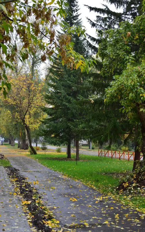 Vremenska prognoza za Srbiju: Košava, kiša i zahlađenje od 20. do 27. oktobra