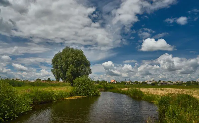 Vremenska prognoza za Srbiju: žuti meteoalarm, grmljavina, pljuskovi i niskı vodostaji