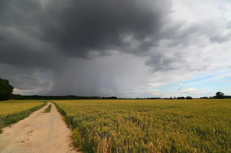 Vremenska prognoza za Srbiju: Temperature do 31 stepen, pa pljuskovi, grmljavina i upozorenja RHMZ
