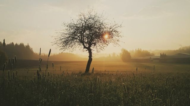 Vremenska prognoza za Srbiju: 2. mart 2026