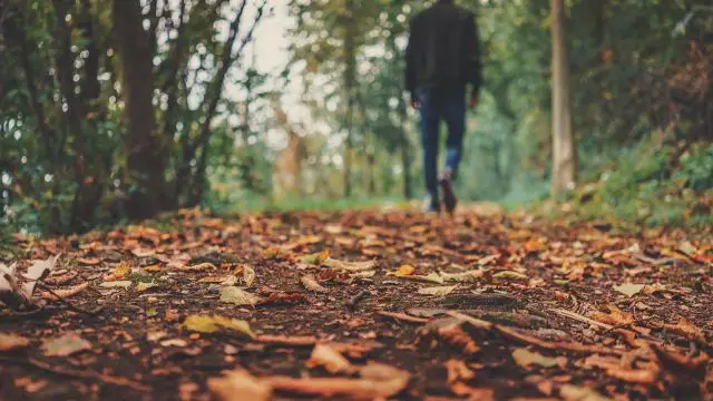 Dugoročna prognoza za jesen 2025