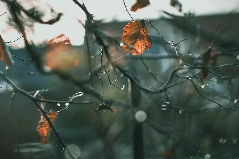 RHMZ izdao narandžasti meteoalarm: Srbiju očekuju obilne padavine, sneg na planinama i nagli pad temperature