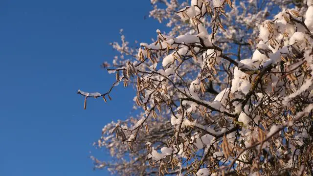 Vremenska prognoza za Srbiju: 2. oktobar 2025