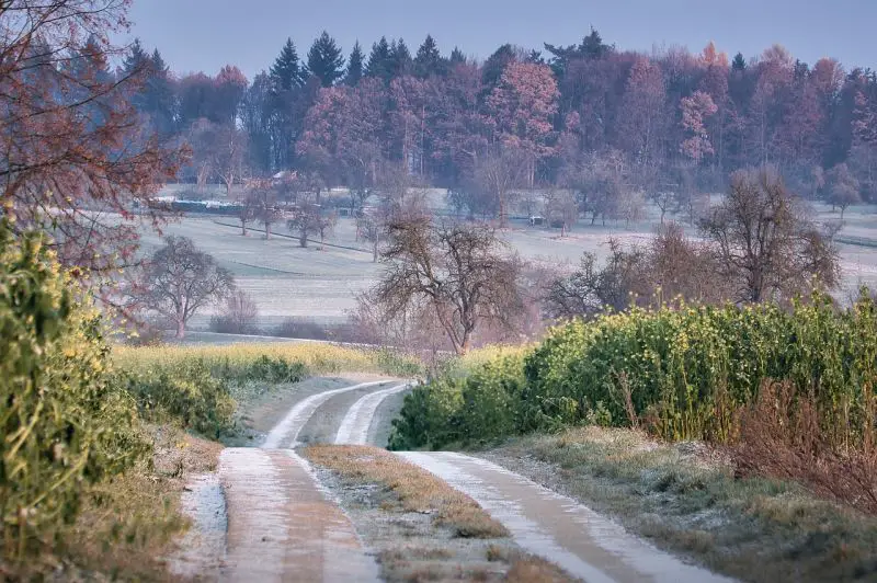 Meteorolozi najavljuju produženo hladno vreme, mraz i povremene snežne padavine - otopljenje tek sredinom meseca
