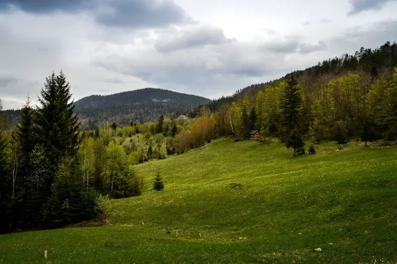 Srbija pod sivim nebom: Kiša i sneg ne posustaju, otopljenja nema do 19. oktobra