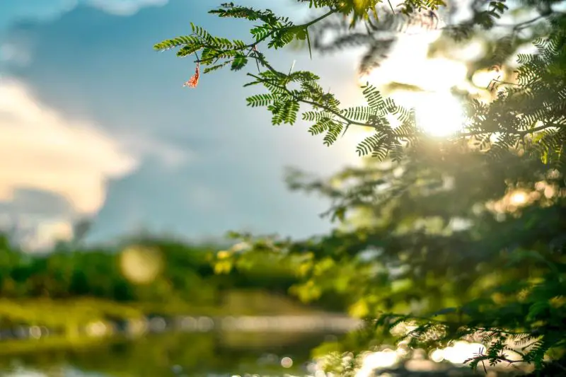 Posle kiše stiže razvedravanje, vikend donosi sunce i svežija jutra, a od ponedeljka ponovo lokalni pljuskovi