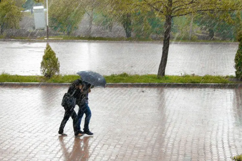 RHMZ upozorava na jake padavine i poplave u južnoj i jugoistočnoj Srbiji, do 70 litara kiše po kvadratu