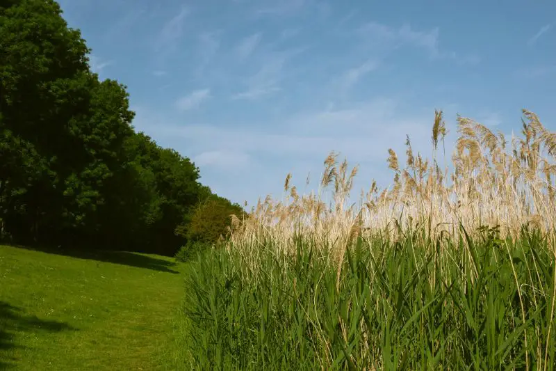 Pravo letnje vreme stiže u Srbiju i region uz temperature do 35 stepeni, ali sredinom nedelje dolazi hladan front