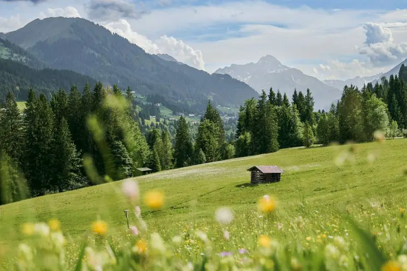 U Srbiji sunčano i sve toplije, za vikend do 35 stepeni, ponegde i više, uz lokalne pljuskove i žuti meteoalarm