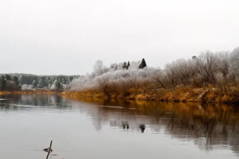 Srbija ulazi u zimski režim: magla, kiša i sneg, uz jačanje košave i pad temperature
