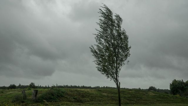 Vremenska prognoza za Srbiju: 5. decembar 2025