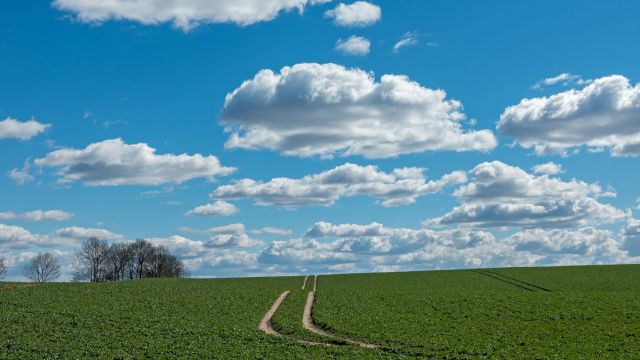 Vremenska prognoza za Srbiju: 6. maj 2026