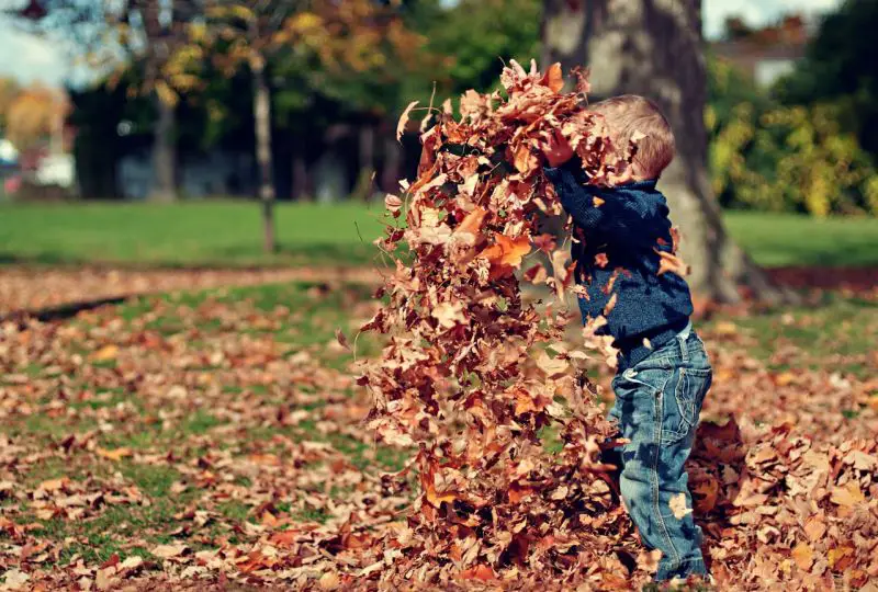 Meteorolozi najavljuju drastične promene vremena u novembru: topli dani, sibirski hladan vazduh i rani sneg