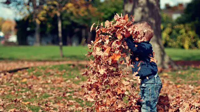 Vremenska prognoza za Srbiju: novembar 2025