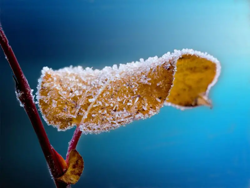 Meteorolozi najavljuju promenu vremena: Posle stabilnog perioda, Srbija očekuje prva jutarnja zaleđivanja
