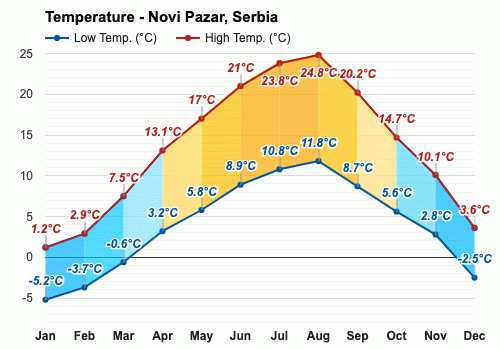 Prognoza: Radnički Niš vs. Novi Pazar (petak, 18:00)