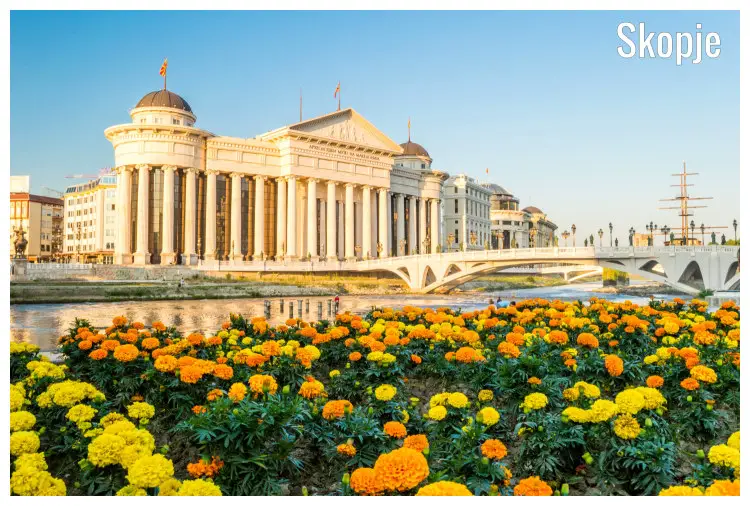 Yellow flower blossoms in front of The Archaeological Museum across the Bridge of Civilization in Skopje, Macedonia Yellow flower blossoms in front of The Archaeological Museum across the Bridge of Civilization in Skopje, Macedonia